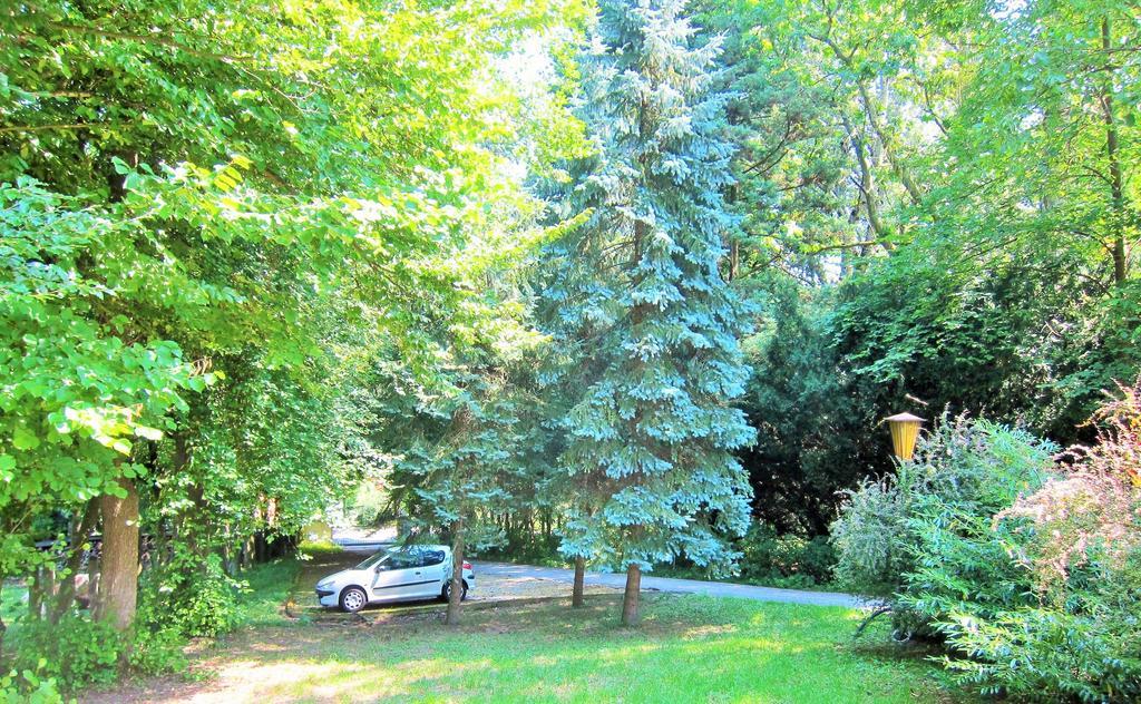 Appartement Ambiente Waidhofen an der Ybbs Szoba fotó
