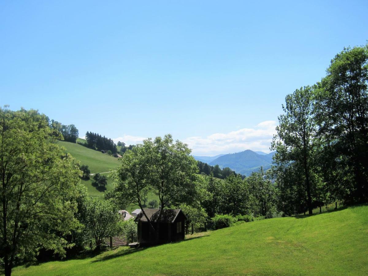 Appartement Ambiente Waidhofen an der Ybbs Kültér fotó